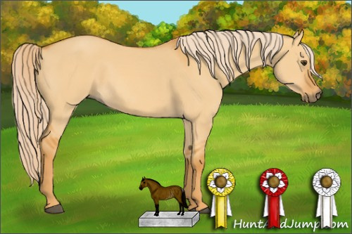 Horse Color: Palomino Dun Rabicano 