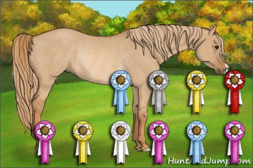 Horse Color: Red Dun Rabicano 