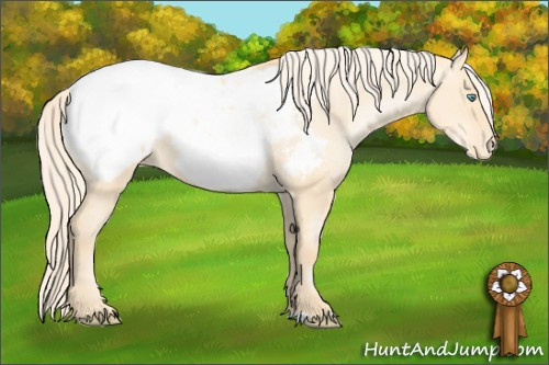 Horse Color: Chocolate Palomino Pearl Dun Mushroom Snowcap 