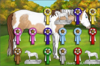 Horse Color:Gray Buckskin Pearl Splash Tobiano 