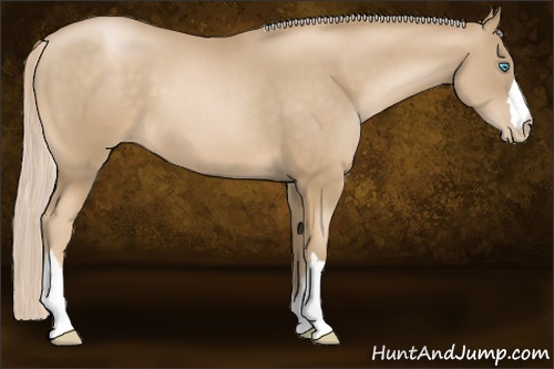Horse Color: Chocolate Palomino Pearl 