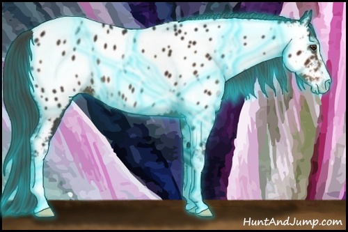 Horse Color: Thunderstruck Liver Chestnut Sabino Near Leopard 