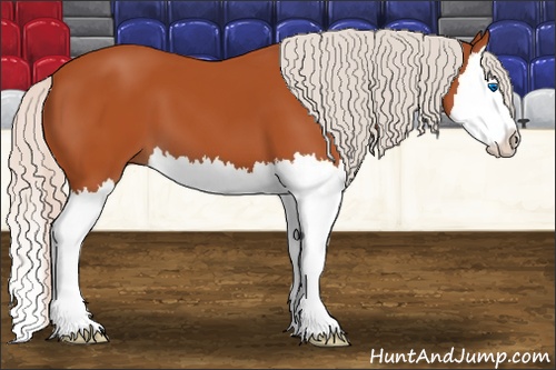 Horse Color: Silver Bay Splash 