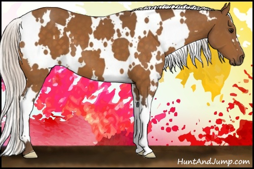 Horse Color: White Spotted Silver Buckskin 