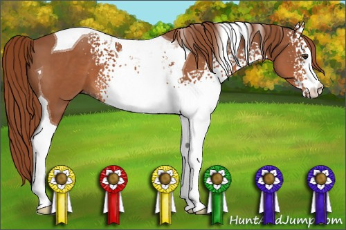 Horse Color: White Spotted Chestnut Tobiano 