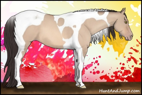 Horse Color: Amber Champagne Dun Tobiano 