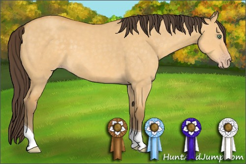 Horse Color: Amber Cream Champagne Dun Tobiano 