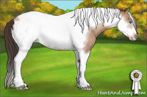 Horse Color: Classic Champagne Tobiano Frame 