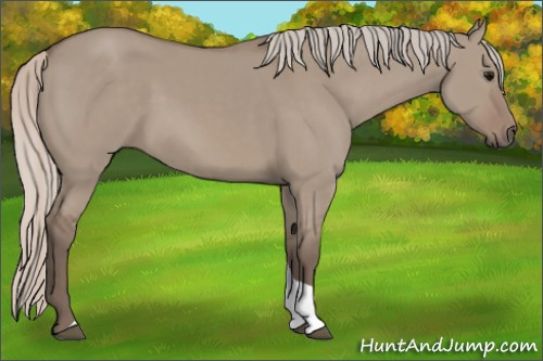 Horse Color: Silver Grullo Tobiano 