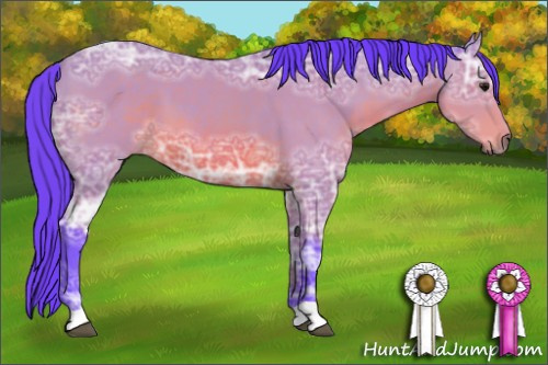 Horse Color: Watercolor Bay Ice 