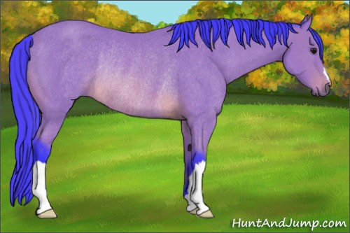 Horse Color: Watercolor Buckskin Rabicano 