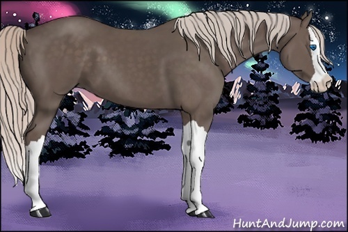 Horse Color: Silver Black Splash 
