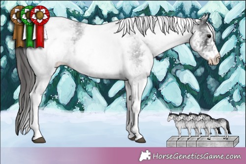 Horse Color: White Spotted Blue Roan Snowflake Varnish 