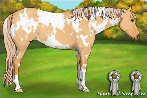 Horse Color: White Spotted Chocolate Palomino Dun 