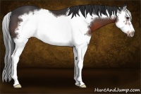 Horse Color:Brown Sabino Splash Frame 