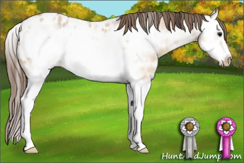 Horse Color: Bay Ice Dun Splash Frame Blanket 