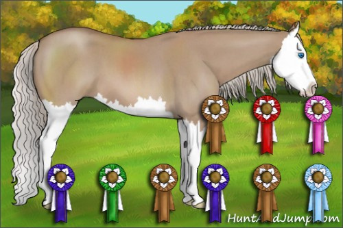 Horse Color: Silver Grullo Roan Splash 