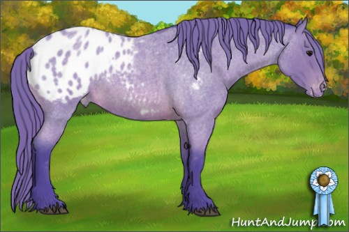 Horse Color: Watercolor Buckskin Roan Blanket 