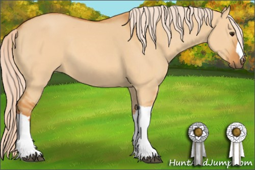 Horse Color: Chocolate Palomino Dun 
