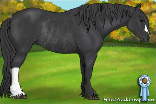 Horse Color: Brown Rabicano 
