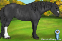 Horse Color:Brown Rabicano 