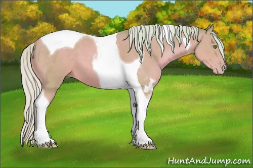 Horse Color: Watercolor Silver Sable Champagne Tobiano 