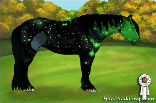 Horse Color: ERROR: UNKNOWN ANOMALY