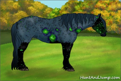 Horse Color: ERROR: UNKNOWN ANOMALY