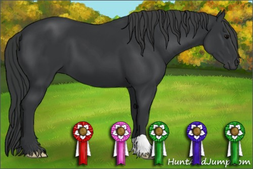 Horse Color: Brown 