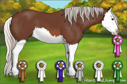 Horse Color: Silver Bay Splash 