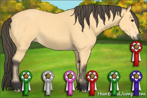 Horse Color: Buckskin 