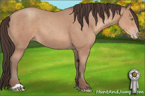 Horse Color: Sable Champagne 