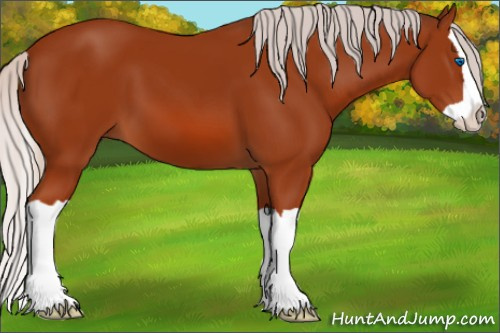 Horse Color: Silver Brown Splash 