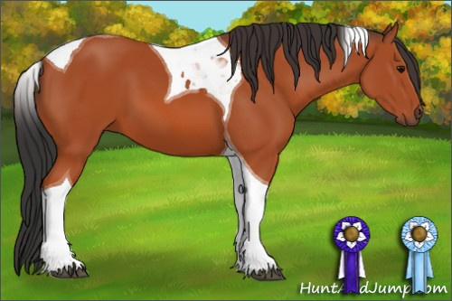 Horse Color: Bay Tobiano 
