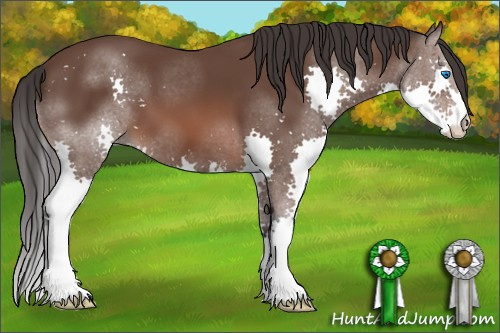Horse Color: Brown Splash 
