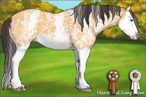 Horse Color: White Spotted Buckskin Dun Splash 