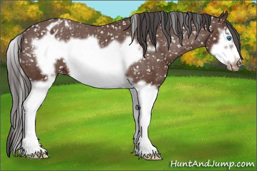 Horse Color: Bay Splash Frame Snowflake Varnish 