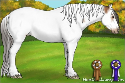 Horse Color: Bay Roan Splash Tobiano Frame 