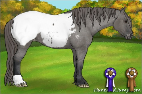 Horse Color: Grullo Snowcap 