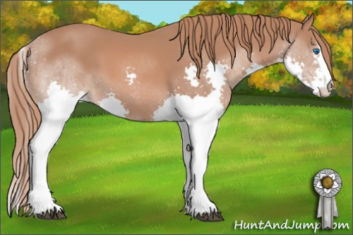 Horse Color: Chestnut Splash 