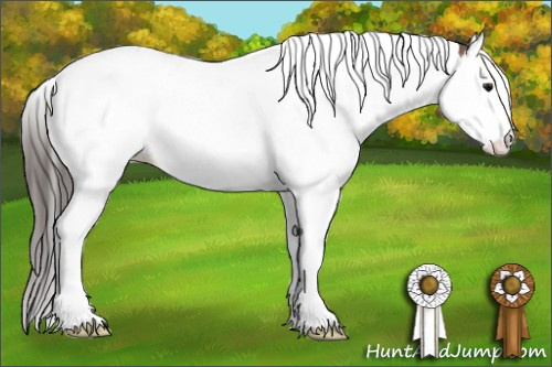 Horse Color: Bay Splash Tobiano Blanket 