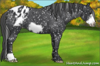 Horse Color:Black Frame Snowflake Varnish 