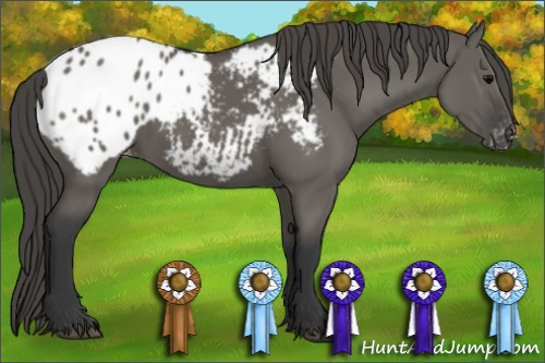 Horse Color: Grullo Blanket Rabicano 