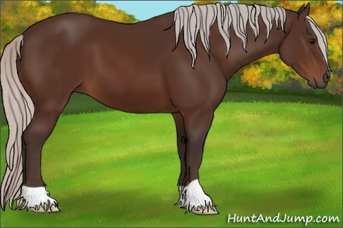 Horse Color: Silver Bay 