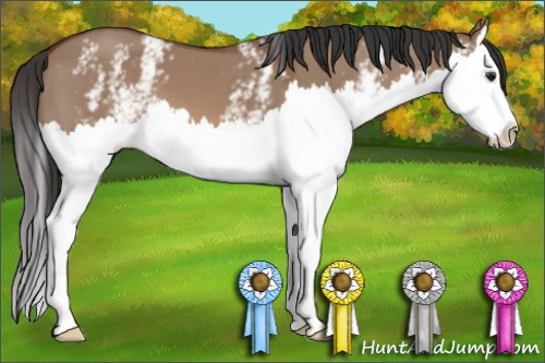Horse Color: White Spotted Bay Dun Splash 