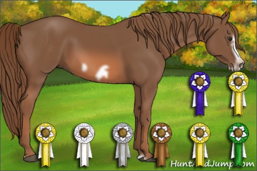 Horse Color: Liver Chestnut Frame 