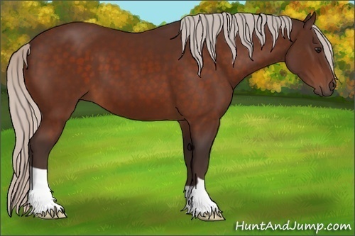 Horse Color: Silver Bay 