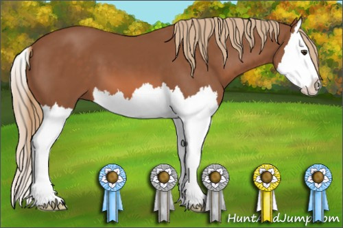 Horse Color: Liver Chestnut Splash 