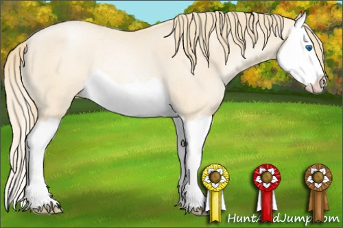 Horse Color: Smoky Black Pearl Splash Rabicano 