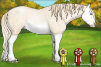 Horse Color:Smoky Black Pearl Splash Rabicano 